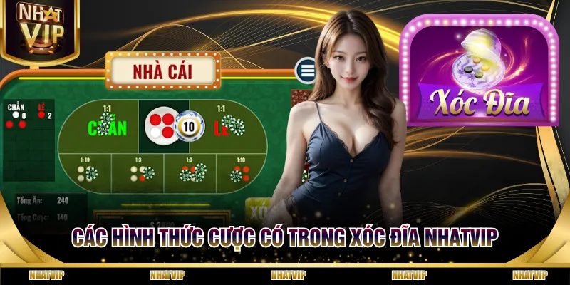 Các hình thức cược có trong Xóc Đĩa NHATVIP