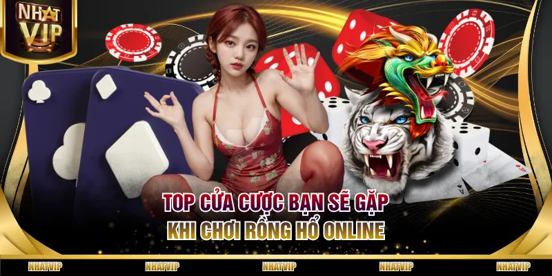 Top cửa cược bạn sẽ gặp khi chơi Rồng Hổ online